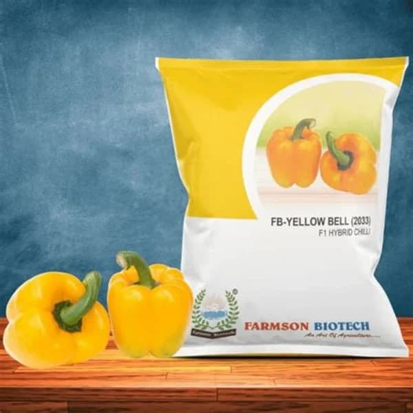 CAPSICUM CAPSICUM YELLOW product image