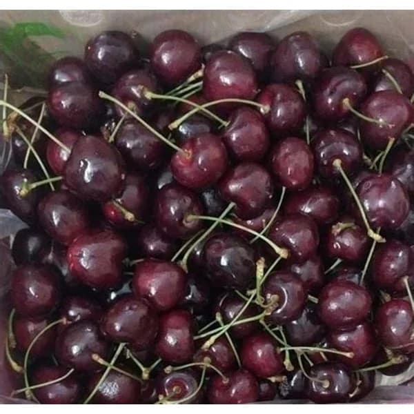 MILANO MILANO IMPORTED CHERRY product image