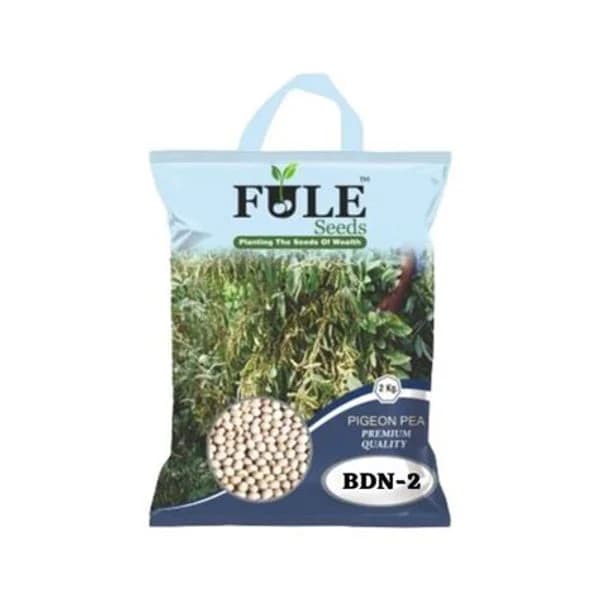 BDN BDN COMBO PACK product image