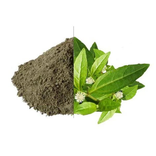 KANTA KANTA BHRINGRAJ POWDER 25GM product image