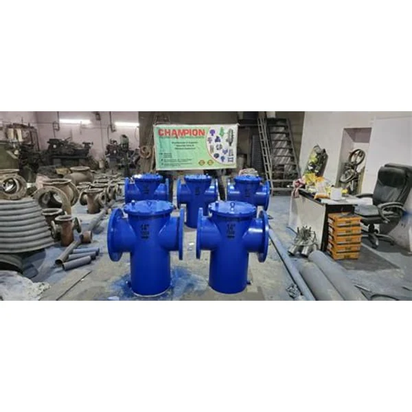 CHAMPION CHAMPION WATER STRAINER product image