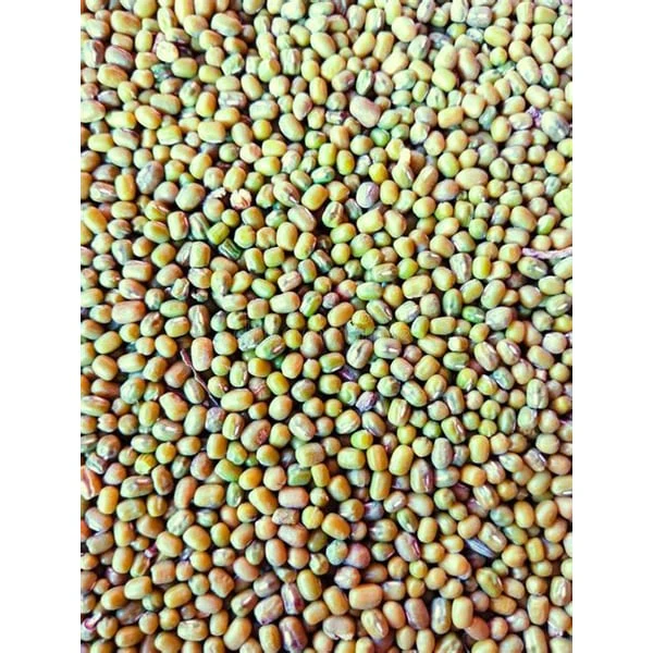 HUNGERS HUNGERS MOONGDAAL product image